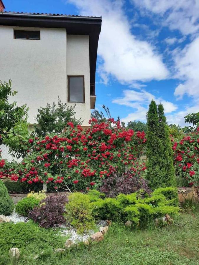 Villa Silva Охрид Екстериор снимка